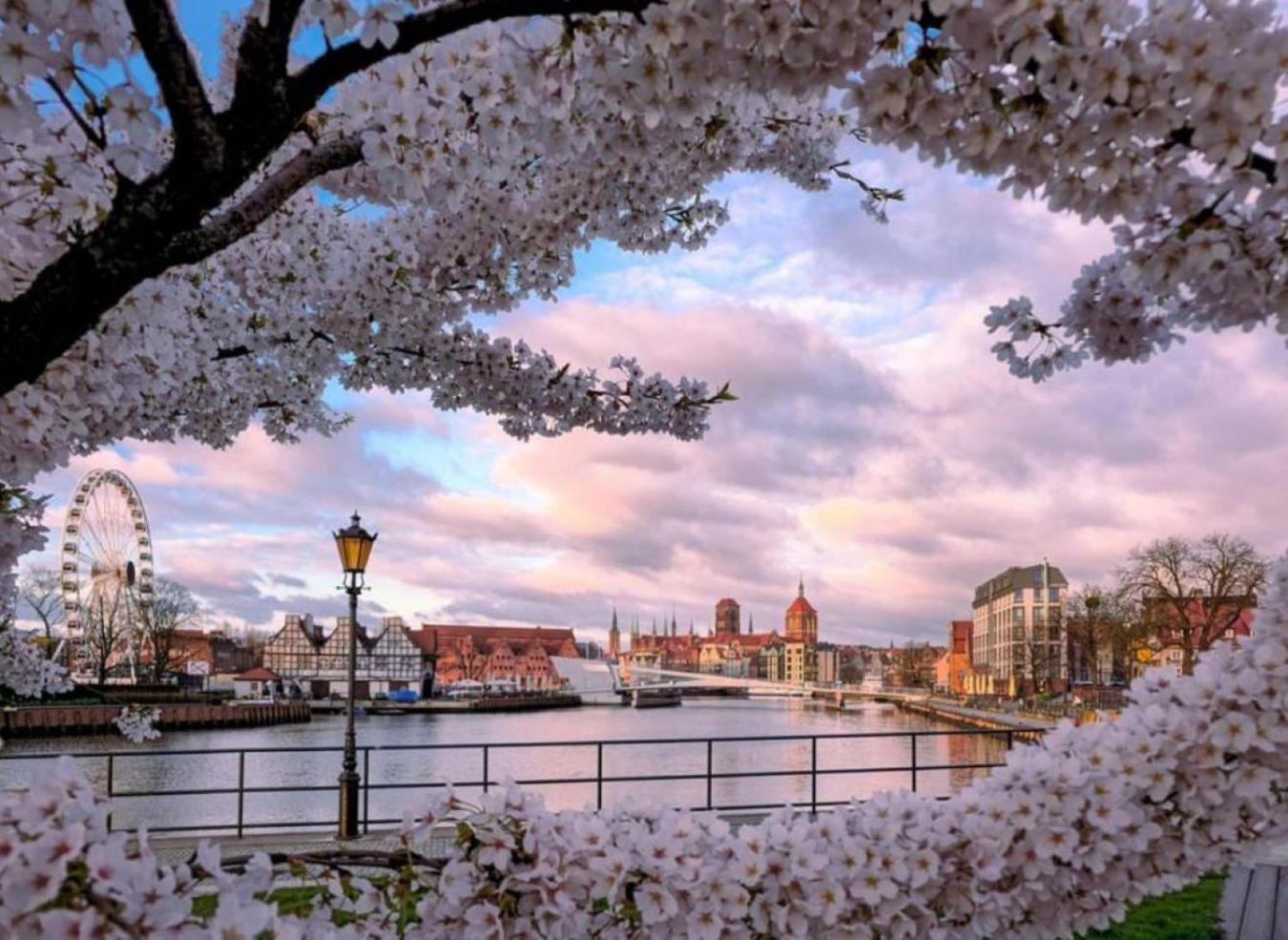الشقق الفندقية Baltic Gdansk Old Town Heart المظهر الخارجي الصورة